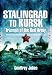 Stalingrad to Kursk  Triumph of the Red Army