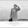 Image of album by David Sylvian