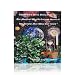 The Mysitcal Wealth Creation Secret of the Richest Man Who Ever Lived (The MBA's Quick Start Guide To:)
