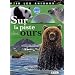 Sur la piste des ours (1DVD)