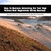 Book Keys To Business Networking For Your High Protein Diet Supplements Online Business