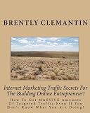 Internet Marketing Traffic Secrets For The Budding Online Entrepreneur!: How To Get MASSIVE Amounts Of Targeted Traffic Even If You Don’t Know What You Are Doing!