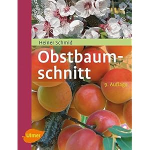 Obstbaumschnitt: Kernobst - Steinobst - Beerenobst