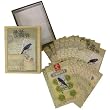 Birds with Greenery Susan Jokelson Birds Notecards Boxed Set - French, Nouvelles Images