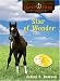 Books : Star of Wonder (Lucky Foot Stables)