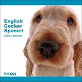 English Cocker Spaniel 2009 Calendar