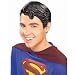 Search : Superman Vinyl Wig Adult
