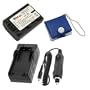 Premium Replacement Digital Camera & Camcorder Battery Charger with Car Adapter + Memory Card Case for Sony Cybershot DSC-HX1 HX100V