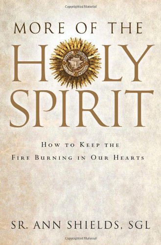 more of the holy spirit how to keep the fire burning in our hearts