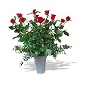 Valentines Classic Bouquet