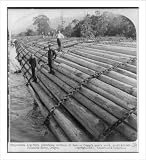 Historic Print (L): Stupendous Log-Raft, containing millions of feet - a camp's year's work, profit $20,000