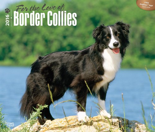 Border Collies, For the Love of 2016 Deluxe