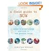 A Field Guide to Now: Notes on Mindfulness and Life in the Present Tense