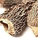 Spice Jungle Morel Mushrooms, Whole (Dried) - 2 oz.