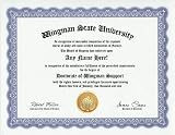 Wingman Wing Man Support Degree: Custom Gag Diploma Doctorate Certificate (Funny Customized Joke Gift - Novelty Item)