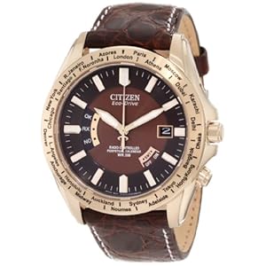 Citizen Men's CB0003-08X World Perpetual A-T Watch (Watch)