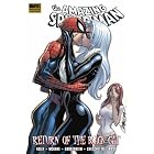 Spider-Man: Return of the Black Cat by Marc Guggenheim, Marco Checchetto, and Luke Ross