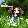Beagles Calendar - 2015 Wall calendars - Dog Calendars - Monthly Wall Calendar by Magnum
