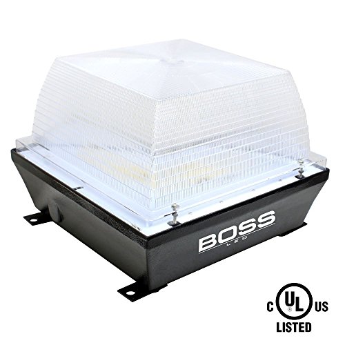 LED 60W Outdoor Canopy Ceiling Light Fixture IP54 UL Driver 5000K Daylight 5000 Lumens Replaces MH250