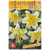 ���i�̏ڍ�