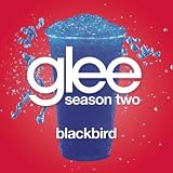 Glee Cast Blackbird