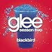Glee Cast - Blackbird (Glee Cast Version)