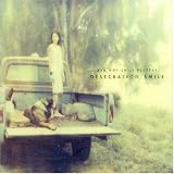 Red Hot Chili Peppers - Desecration Smile