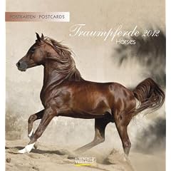 Traumpferde 2012. Postkartenkalender
