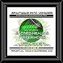 BMV Series 24 Sacred Healing Frequencies CD: Solfeggio Healing Tones (Brainwave Meditation)