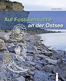 Auf Fossiliensuche an der Ostsee: Gesteine-Fossilien-Fundm&ouml;glichkeiten - Andrea Rohde
