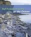 Auf Fossiliensuche an der Ostsee: Gesteine-Fossilien-Fundmöglichkeiten