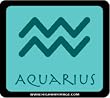 Aquarius Toll Pass Holder