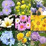 ���i�̏ڍ�