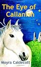 The Eye of Callanish