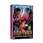 Ninja Vixens: Complete Box Set