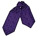 ERA1B04-06 Paisley Cravat Woven Microfiber Mens Ascot Perfect Design By Epoint