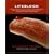 InVision Guide to Lifeblood