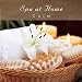 Sacred-Retreat-Spa at Home 1 - Calm cd cover