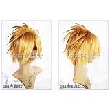 【コス★スター】家庭教師ヒットマンREBORN！　ボンゴレI世（Giotto）風 ウィッグ♪ 新品