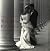 The Art of Wedding Photography: Professional Techniques with Style