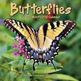 Insects & Bugs
