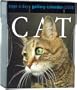 Cat Page-A-Day Gallery Calendar 2008