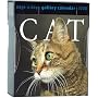 Cat Page-A-Day Gallery Calendar 2008