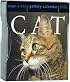 Cat Page-A-Day Gallery Calendar 2008