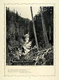 1912 Print Nisqually Canyon Mt. Rainier National Park - Original Halftone Print