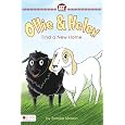 barn finds Ollie and barn finds Ollie and