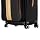 Samsonite Black Label Hommage III 20