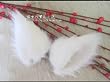★妖狐×僕SS★ 【 御狐神双熾 】 耳羽 cos cos道具 コスチュム コスプレ道具
