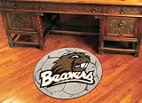 Oregon State Soccer Ball Rug 29 diameter