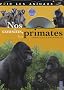 Nos cousins, les primates (1DVD)